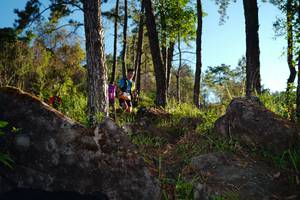 BIB: 
                            <button type="button" onclick="openModal(18914950)" class="btn btn-primary btn-sm float-right btn-popup" data-toggle="modal" data-target=".modal-high-quality">
                        <i class="fas fa-shopping-cart"></i> Add to Cart
                    </button>
                                            <button type="button" onclick="isThisMe(18914950, true)" class="btn btn-success btn-sm float-right btn-popup btn-isme hidden" data-toggle="tooltip" data-placement="bottom" title="นี่คือรูปของคุณใช่ไหม คลิกที่นี่เพื่อเอาเข้าอัลบั้ม">
                        <i class="fas fa-plus"></i> Add to album
                    </button>
                    <button type="button" onclick="isThisMe(18914950, false)" class="btn btn-warning btn-sm float-right btn-popup btn-isnotme hidden">
                        <i class="fas fa-ban"></i> Remove from album
                    </button>